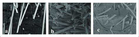 SEM Images Of Fractured Surfaces As A Result Of Impact Test Of 30