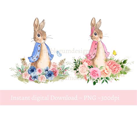 Peter Rabbit Flopsy Peter Rabbit Cake Peter Rabbit Party Easter