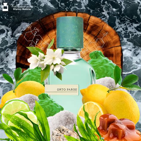 Decant Megamare De Orto Parisi Coleccionado Aromas