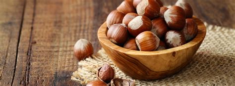 FINDIK ÇEŞİTLERİ – Çakmaklar fındık