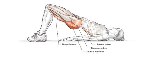 contours personal training  core exercises