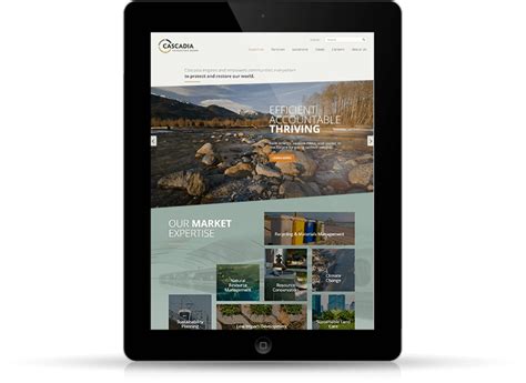 website launch  cascadia consulting group efelle creative