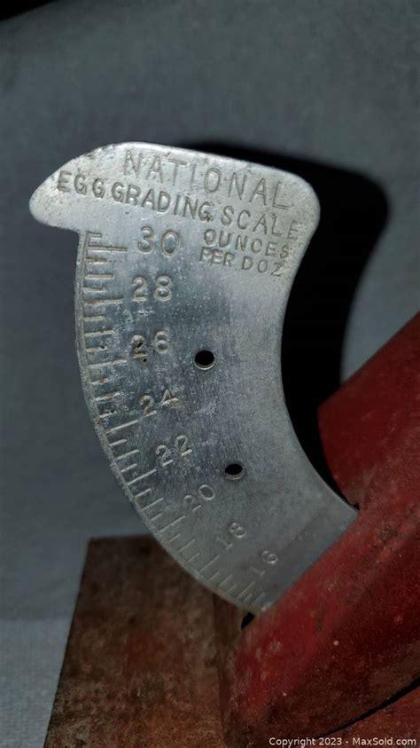 Antique Egg Grading Scale A | #4649233799