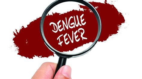 Home Remedies For Dengue Fever डेंगू बुखार से लड़ने के लिए घरेलू नुसखे। Healthshots Hindi