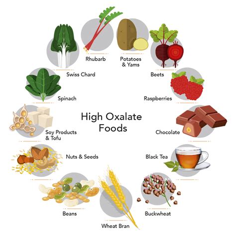 Foods High In Calcium Oxalate Kidney Stones