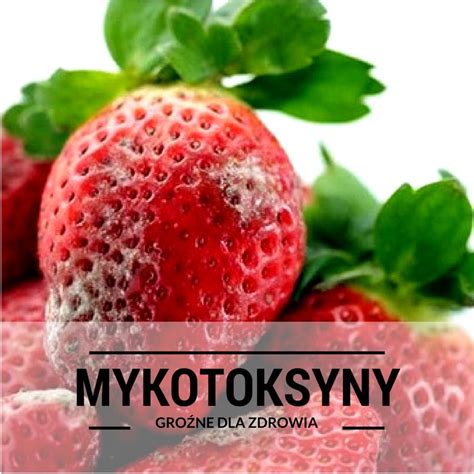 Mykotoksyny czym są i jak się przed nimi bronić Oczyszczacze pl