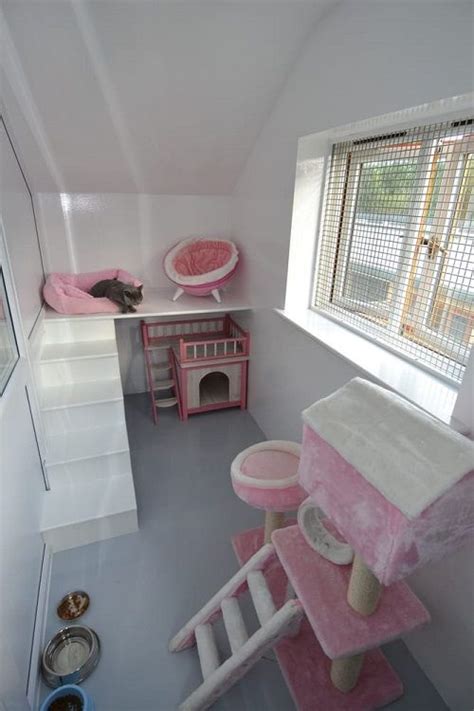 20 Amazing Cat Room Ideas Cat Room Designs Cat Room Cat Room Diy