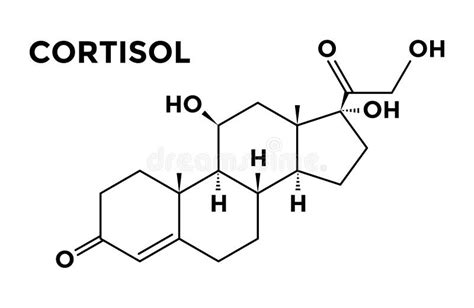 Structural Formula Of Cortisol Stock Illustration Illustration Of