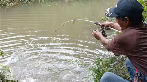 Percaya Gak Percaya Mancing Ikan Kecil Malah Di Sambar Ikan Besar