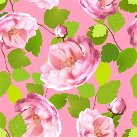 Beautiful Seamless Pattern With Realistic Roses On A Pink Background