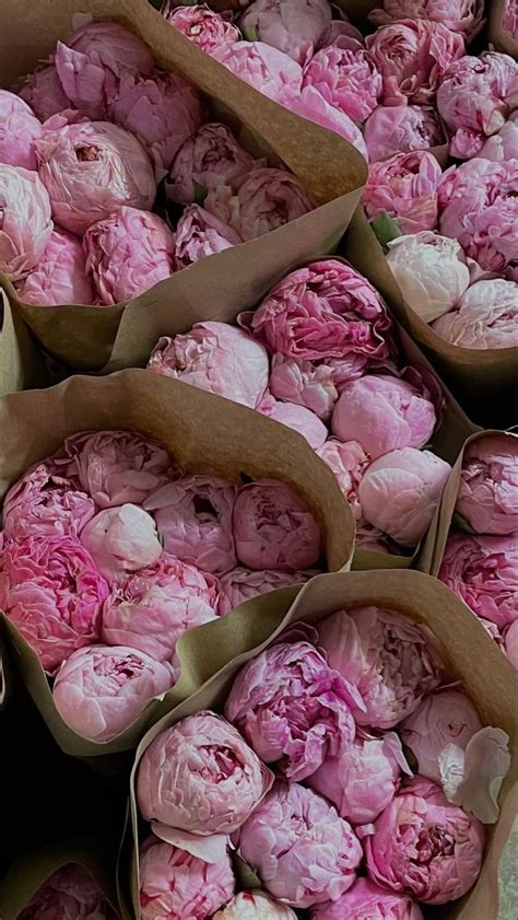 Яндекс | Peonies, Flower arrangements, Pretty flowers