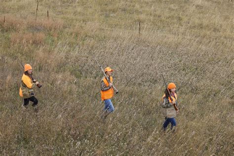 Learn To Hunt Sign Up For Skills Workshops This Fall Wisconsin Dnr