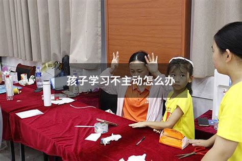 孩子学习不主动怎么办 大黄蜂教育