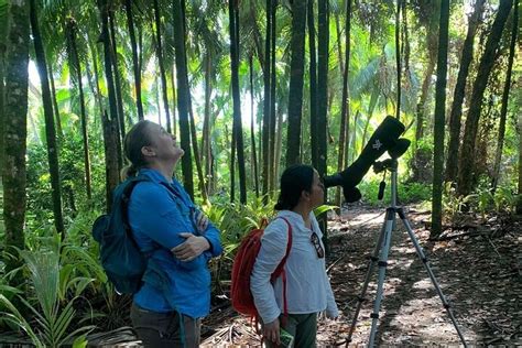 マリノ バジェーナ国立公園の自然とバード ウォッチング、提供元：osa Nature Experts プンタ アレナス コスタリカ