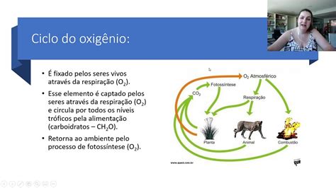 Ciclos BiogeoquÍmicos Youtube