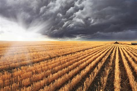 O Sol De Brilho Espreita Para Fora Sob Das Nuvens Imagem De Stock