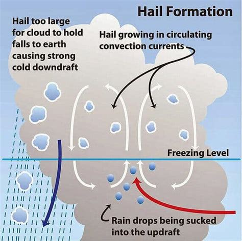 precipitation types  precipitation types  rainfall