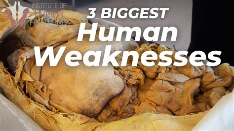 3 Biggest Weaknesses Of The Human Body Youtube