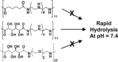 Degradation Of Polyglycoamidoamine Dna Delivery Vehicles Polyamide