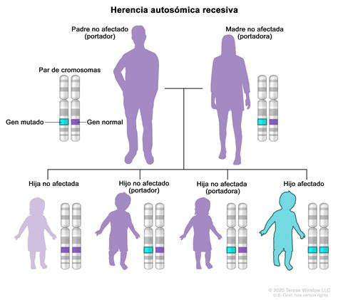 Definición de síndrome de Cockayne Diccionario de cáncer del NCI NCI