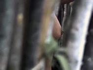 Naked Daniela Bueno In The Whistler