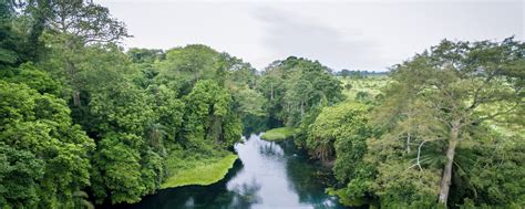 embassy   republic  congo  canada