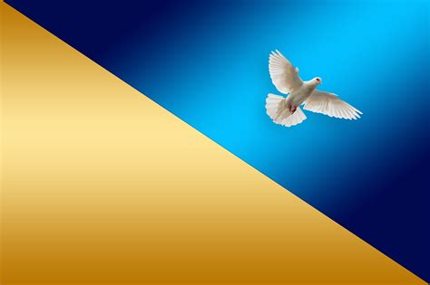 30,000+ Free Dove Of Peace & Dove Images - Pixabay