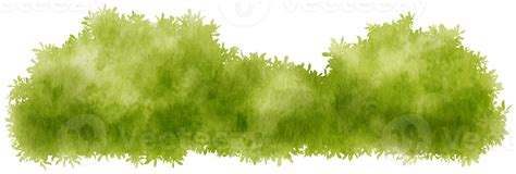 Bush Watercolor hand-painted 9695047 PNG