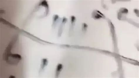 Free Black Magic Porn Videos Xhamster