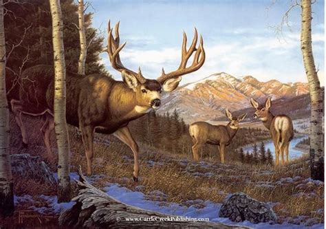 39 Mule Deer Ideas Mule Deer Deer Deer Art