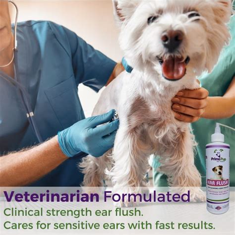 how to flush out a dogs ear