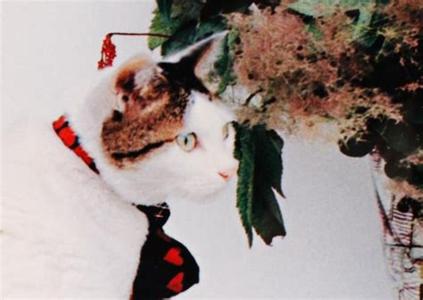 Sold At Auction Nobuyoshi Araki Nobuyoshi Araki Nude Woman My Xxx Hot Girl