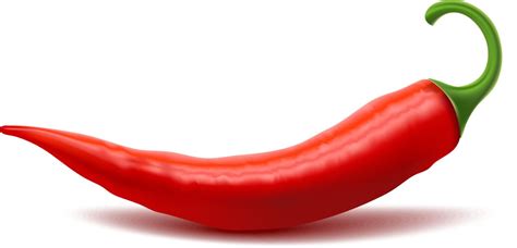 Red Hot Chili Pepper Realistic 3d Royalty Free Vector Image