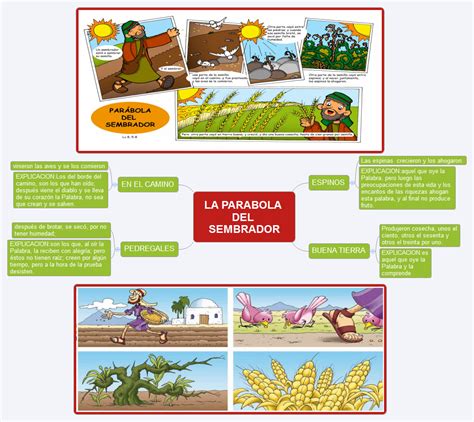 La Parabola Del Sembrador Fabiola Luque Xmind