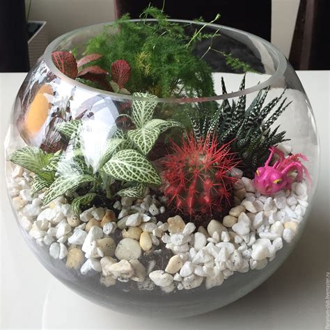 Сухой аквариум своими руками (76 фото) - красивые картинки и HD фото