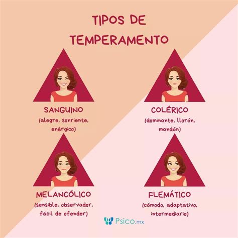 Temperamento Humano - Los 4 tipos de temperamento humano (con INFOGRAFÍA) | Tipos de ...