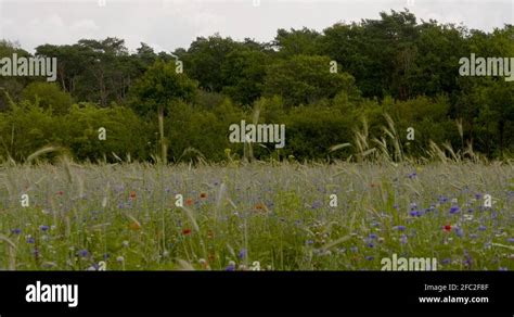 depth view stock  footage hd   video clips alamy