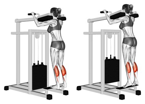 7 Best Calf Raise Variations With Pictures Inspire Us