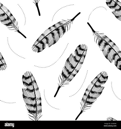 Feathers Stock Vector Images Alamy