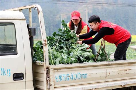 贵州榕江：党员志愿者田间助农 人民图片网