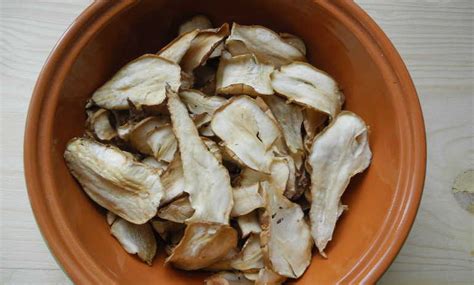 Топинамбур: польза и вред для организма при диабете