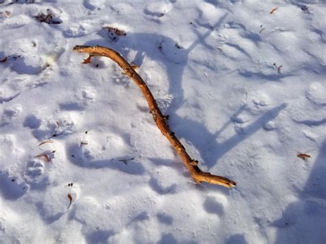 Blackview P2 Review - 6000mAh Battery Yet Slim and Powerful! - Gizmochina