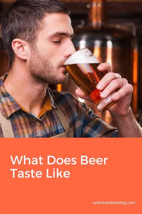 What Does Beer Taste Like Heres The Ultimate Answer