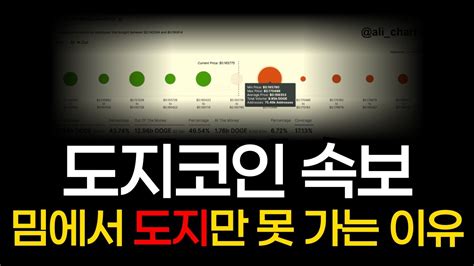 긴급속보 도지코인 알리 공식 발표 도지만 못 가는 이유 찾았다 필수 시청도지코인전망 도지전망 Youtube