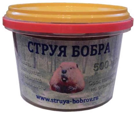 Струя бобра: что это такое, применение, что лечит, как пить