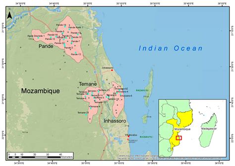 Geochemistry of Petroleum Gases and Liquids from the Inhassoro, Pande