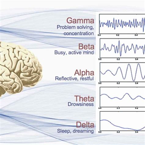 Biofeedback And Neurofeedback Therapy Control You Performance And Health