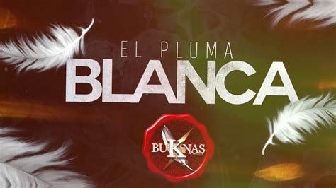 Buknas De Culiacan El Pluma Blanca Audio Estudio 2021 YouTube