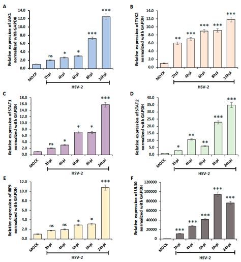 hsv  manipulates autophagy  interferon pathway  strategy