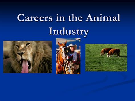 Ppt Careers In The Animal Industry Powerpoint Presentation Free